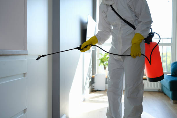 Crawl Space Mold Removal in Seminole, TX