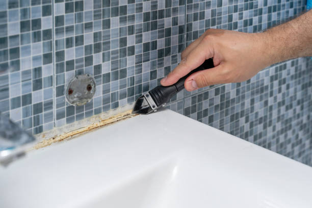 Best Mold Removal Near Me  in Seminole, TX